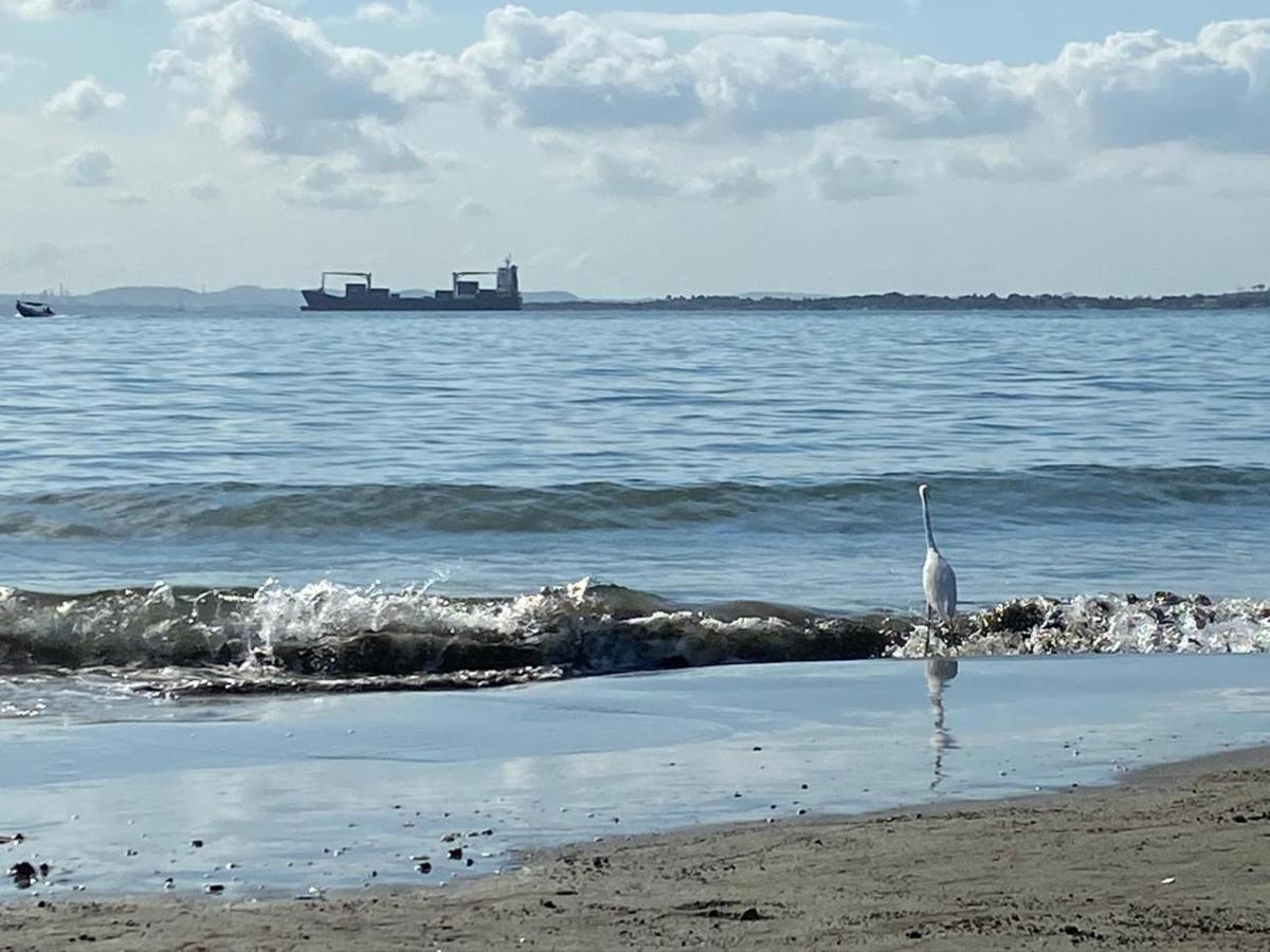 Apto Exclusivo En Bocagrande Frente Al Mar Cartagena Екстериор снимка